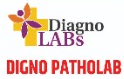 Partner organization logo